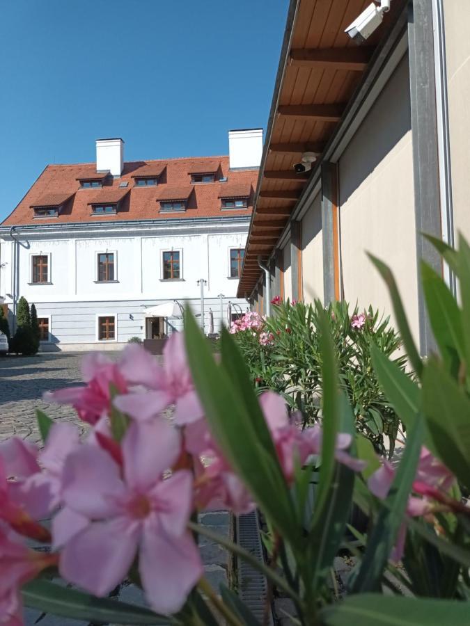 Gizella Hotel And Restaurant Veszprém Buitenkant foto